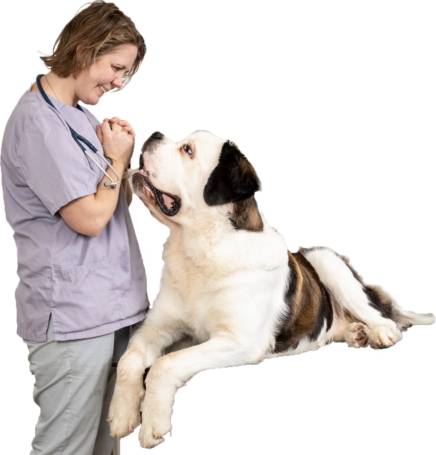 Dyrlegen sammen med en hund i behandlingsrommet på klinikken.